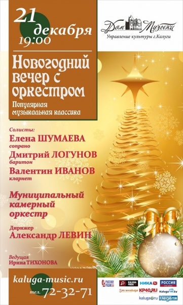 Рождественский концерт «Новогодний вечер с оркестром». Камерный оркестр