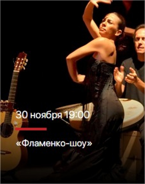 «Фламенко-шоу»