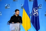 Зеленского обвинили в попытке втянуть НАТО в войну с Россией