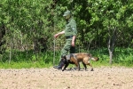 Незаконно пересекших границу в Судже журналистов объявят в международный розыск