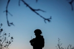 Поджигателей авто украинских военных превратят в «бесплатных рабов»