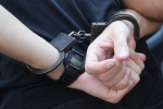 В деле экс-замглавы Минобороны Иванова предрекли появление новых эпизодов