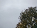 В Калужскую область пришла осень