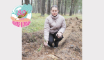 Школа окнами в лес