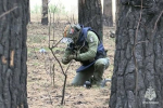 В Курской области обезвредили 51 суббоеприпас ракеты «Хаймарс»
