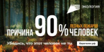 В Калужской области отменили ограничения на посещение лесов
