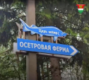 Калужский рыбак создал осетровую ферму