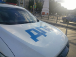 В Сухиничском районе иномарка сбила лося