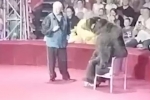 Хищник напал на дрессировщика во время выступления в российском цирке