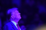 Трамп пообещал Нурмагомедову остановить войну в Палестине. Как они оценивают конфликт с Израилем?