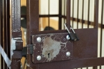 Экс-главе красноярского правительства запросили 6 лет колонии по делу о метро