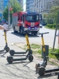 В Калуге планируют запретить кататься на самокатах в парках и скверах