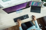    Windows 11 