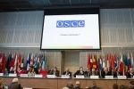 В Госдуме высказались об участии России в сессии ПА ОБСЕ