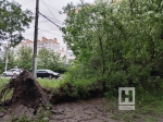 В Калужской области 16 деревьев повалилось из-за непогоды