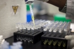 WADA упрекнуло USADA за количество тестируемых американских спортсменов