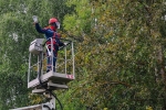 В Калужской области к зиме отремонтируют более 200 километров линий электропередачи