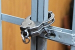 ФСБ задержала россиянина при попытке дать налоговику завернутую в листья салата взятку