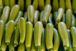 Врач назвал снижающий риск самого распространенного вида рака продукт