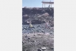 Турист избил карманника палкой за попытку украсть кошелек и попал на видео