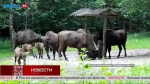 Как себя вести при встрече с диким животным, объяснил эксперт