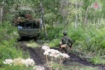 Минобороны России показало кадры третьего этапа учений с тактическим ядерным оружием