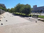 В Обнинске завершили I этап благоустройства пешеходной зоны