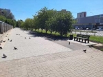 В Обнинске завершен первый этап благоустройства пешеходной зоны по улице Энгельса