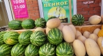 Жители Обнинска перестали жаловаться на качество арбузов
