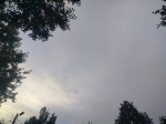 В Калужской области продолжает держаться пасмурная погода