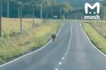 Опубликовано видео спасения вступившего в бой с ВСУ срочника