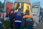 Россиянин выжил после встречи с медведем в лесу и попал в больницу