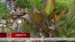 Калужанка создала у своего дома райский сад