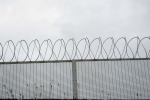 Мигранты, предложившие взятку калужскому полицейскому, проведут в колонии 3 года