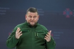 В России отреагировали на новые данные о роли Залужного в подрыве «Северных потоков»