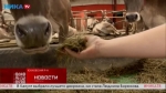 Калужанин создал первую в области роботизированную ферму