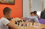 Шахматный турнир в честь Дня Флага России прошёл в Жукове
