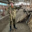 Спас-Деменский фермер получил грант на развитие овцеводства