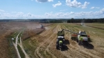 Производство сельхозпродуктов в Калужской области выросло на 5%