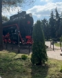 В Калуге сквер 50-летия ВЛКСМ пополнился молодыми туями