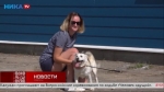 Весёлая и добрая собачка Булка готова отправиться в добрые руки