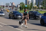 Москвичам пообещали самое жаркое начало осени за последние 85 лет