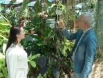 В калужском ботаническом саду расцвела орхидея и появились новые хищные растения
