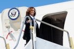 В России высказались о разнице отношений с США при Харрис и Трампе