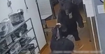 Колорадского медведя хотели выдать за калужского