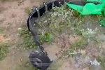Жители Подмосковья сняли на видео обломки взорвавшегося украинского беспилотника