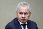 Шойгу обвинил Украину в срыве инициативы по отказу от ударов по энергообъектам
