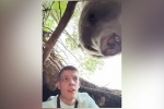 Блогер залез к медведю в берлогу, забрался на дерево и оказался в западне