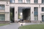 Черная кошка не решилась перебегать дорогу кортежу Путина