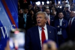 В США назвали позицию Трампа по Украине в качестве возможной причины для покушения